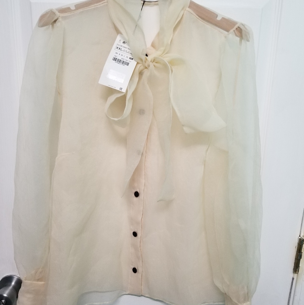 🎈LAST ONE! Zara Organza blouse with tie - Picture 9 of 10